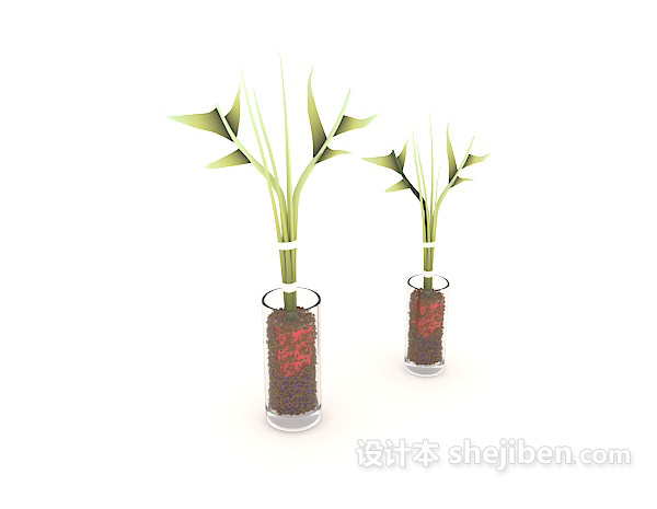 室内植物摆设3d模型下载