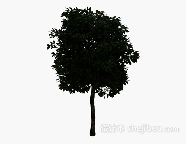 茂盛大树3d模型下载