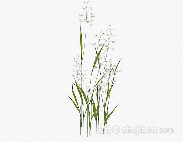 室外植物3d模型下载