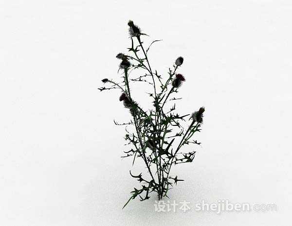 室外植物3d模型下载