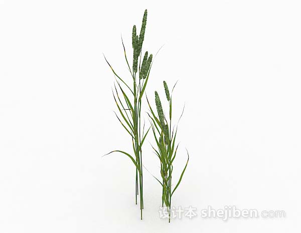 室外野草3d模型下载