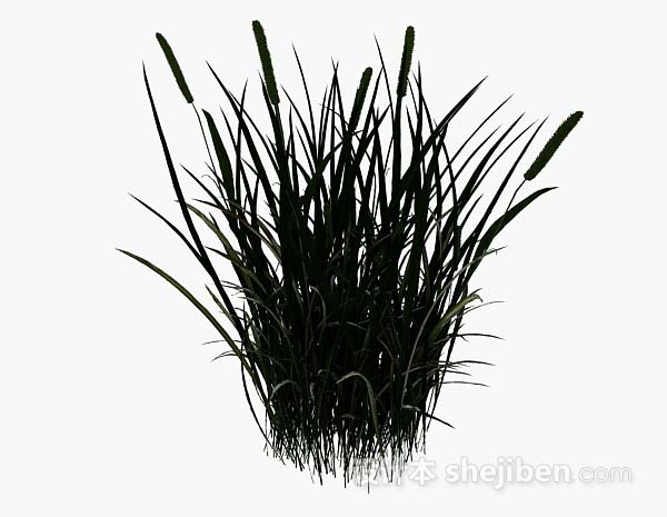 绿草3d模型下载