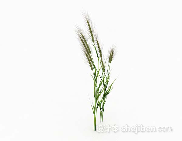 狗尾巴草3d模型下载