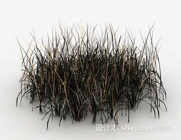 野草3d模型下载