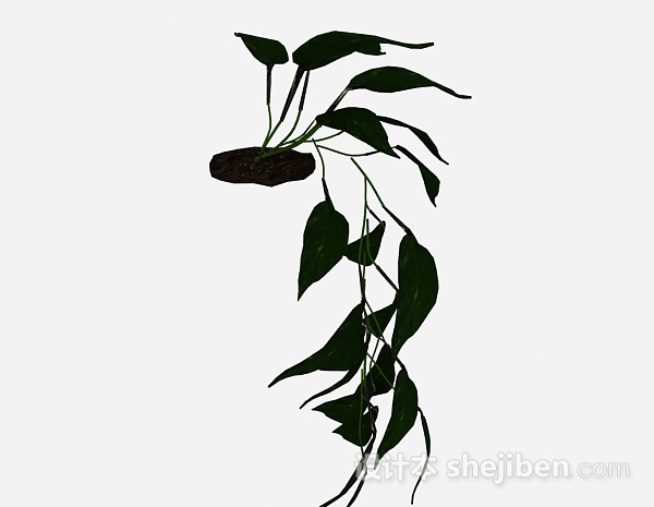 绿色装饰植物3d模型下载