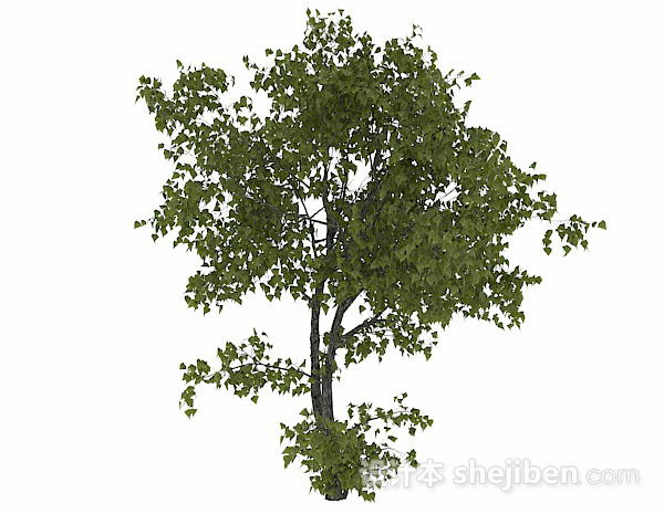 椭圆形树叶树木3d模型下载
