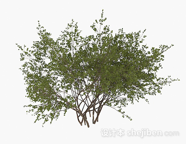 圆形小树叶灌木3d模型下载