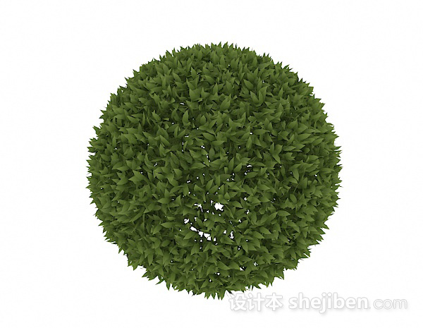 披针形叶子球状造型3d模型下载