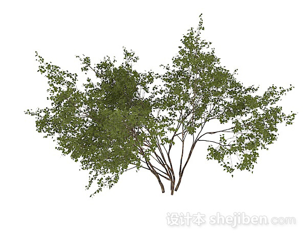 圆形小树叶灌木丛3d模型下载