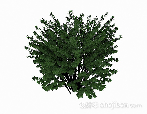 绿色公园花卉3d模型下载