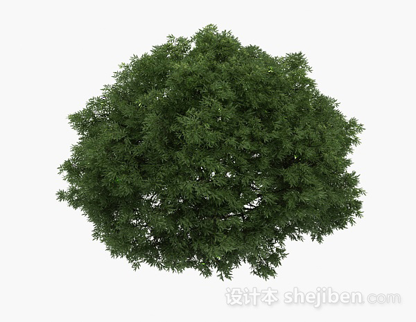 针状细叶灌木丛3d模型下载