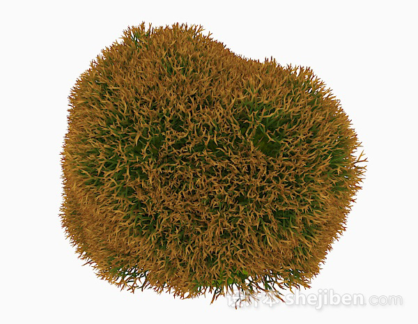 黄色植物3d模型下载