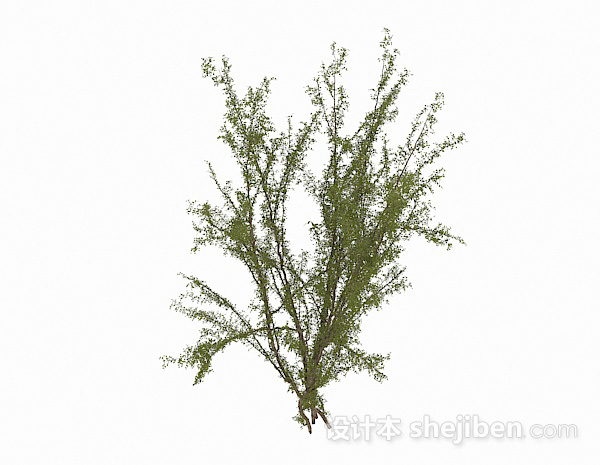 室外绿草3d模型下载