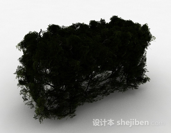 墨绿色家庭景观植物3d模型下载