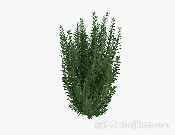 现代风格条形树叶灌木3d模型下载