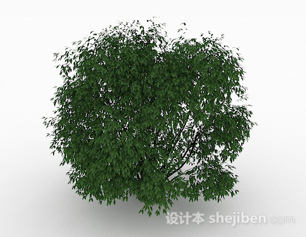 绿色小叶子观景树3d模型下载