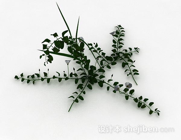 整株喇叭花植物3d模型下载