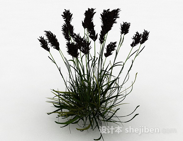 开花期小草3d模型下载