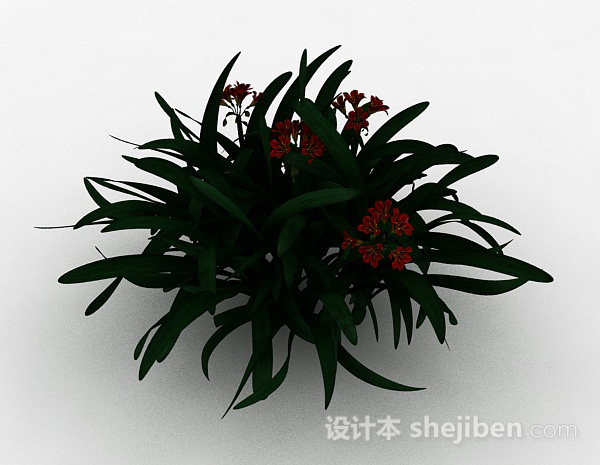 红色小花观赏植物3d模型下载