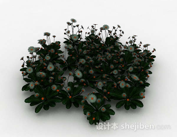 白色蒲公英3d模型下载