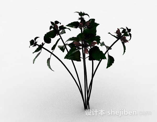 绿色草本植物3d模型下载