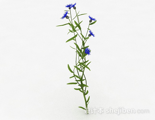 蓝色花3d模型下载