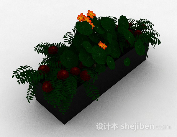 花卉盆栽3d模型下载