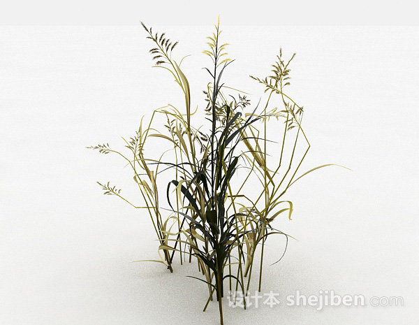 野外泛黄草丛3d模型下载