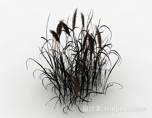 绿色茅草植物3d模型下载