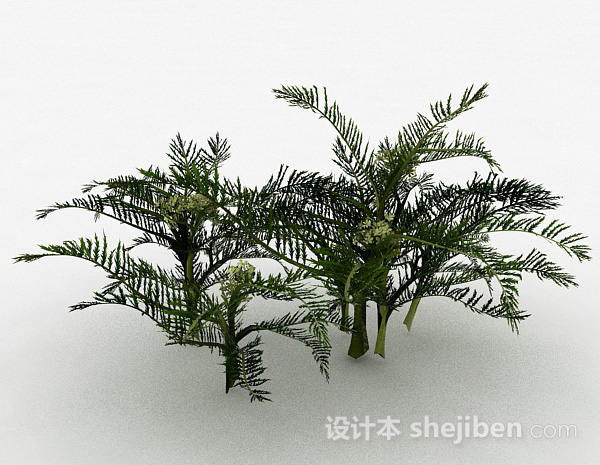 细叶装饰花卉植物3d模型下载