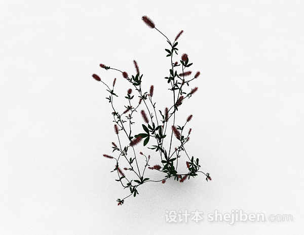 马尾状花朵植物3d模型下载