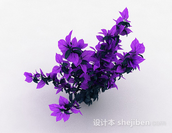 双色叶子观赏植物3d模型下载