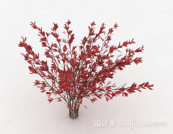 红色树叶观赏植物3d模型下载
