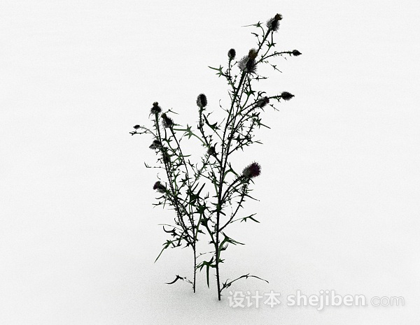 双珠绿色植物3d模型下载