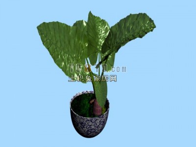 室内盆景3d模型下载