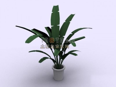 植物(20080525更新)373d模型下载