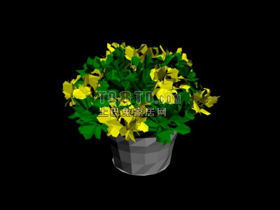 室内盆栽植物3d模型下载