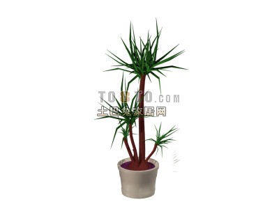 植物(20080525更新)313d模型下载