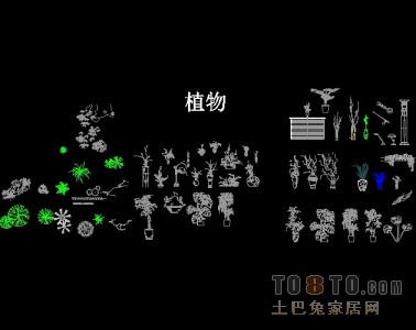 植物立面/平面图块下载