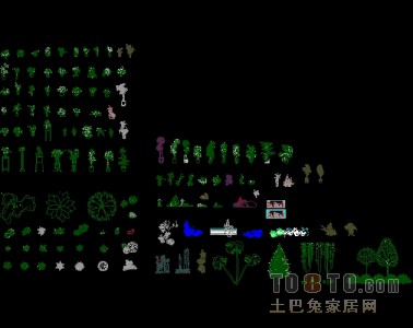 植物立面/平面图块下载