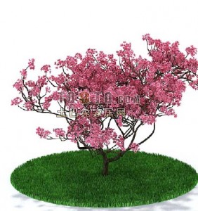 室外植物树3d模型下载