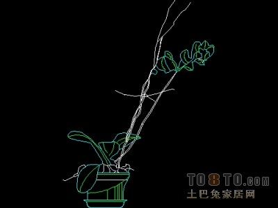 饰物陈设图纸素材004-植物31套
